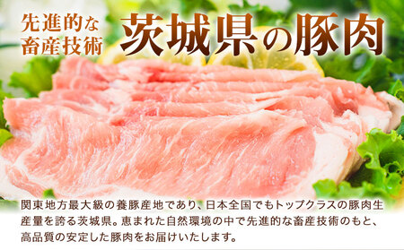 う～んまいから！くっちみ～ 茨城県産豚 小間切 ひき肉 計2kg 各5パック×200g 協同農産 《90日以内に出荷予定(土日祝除く)》 肉 豚肉 豚小間 豚こま ミンチ ハンバーグ 餃子 便利 小分け 茨城県 結城市 【配送不可地域あり】(北海道・沖縄・離島)
