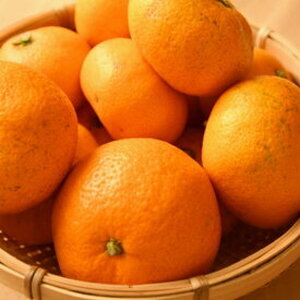 ZD7020_【2026年先行予約】【訳あり】 和歌山 有田みかん 10kg (S～Lサイズいずれかお届け)