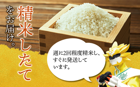 【令和7年産】玄米 ななつぼし 30kg (30キロ) 【kja400-nana-g30-R7】