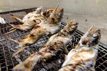 西湖のヒメマス