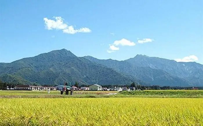 【令和7年産】【定期便】南魚沼産塩沢コシヒカリ【従来品種】（特別栽培米８割減農薬）精米５ｋｇ×全３回