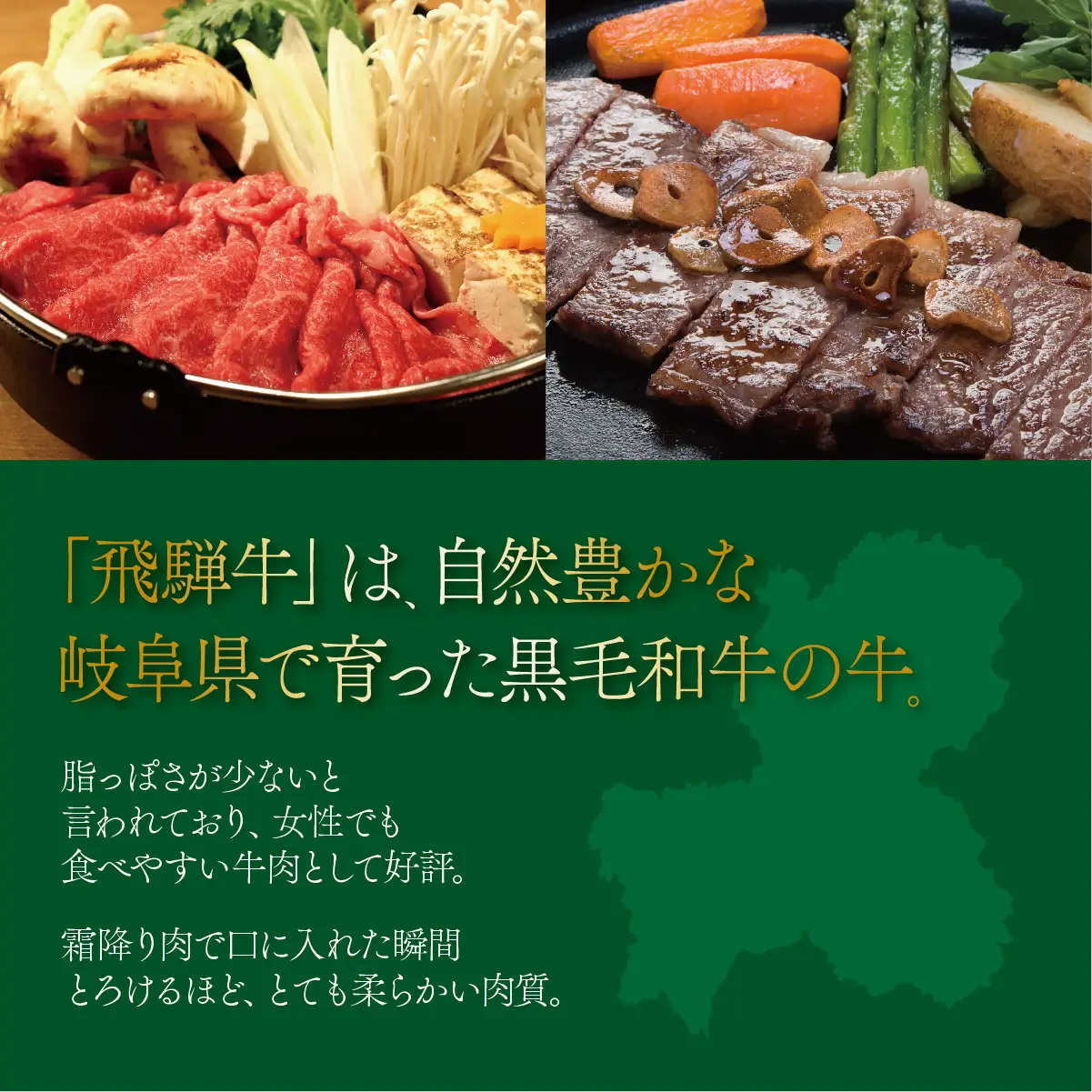 A5 飛騨牛 赤身 すき焼き用 3kg｜岐阜県産 国産 黒毛和牛 ブランド牛 モモ肉 カタ肉 すき焼き しゃぶしゃぶ  霜降り 冷凍 贅沢 高級肉 お歳暮 お中元 ギフト プレゼント おすすめ トキノ屋食品