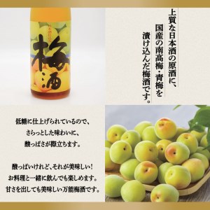 日本酒 仕込み 梅酒 500ml 本醸造 720ml 2本 セット 月の井 大洗 地酒 国産梅 茨城_AW026