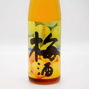 純米大吟醸 酒粕焼酎 720ml 日本酒 仕込み 梅酒 500ml 2本 セット 月の井 大洗 地酒 酒粕焼酎 国産梅 日本酒 焼酎 茨城_AW029