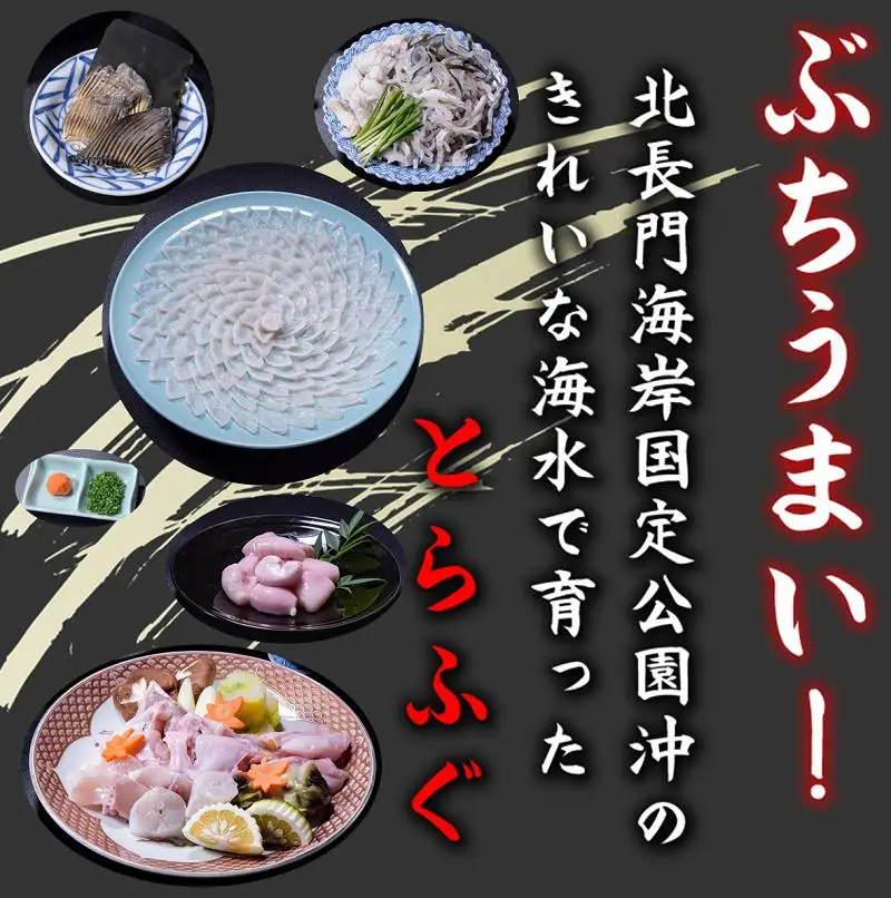 【配送日指定必須】ふぐセット とらふぐ とらふぐ刺身6～7人前セット（とらふぐ皮刺身・干しひれ付き） 冷蔵 トラフグ フグ 最高級とらふぐ 父の日 母の日 イベント お中元 お歳暮 贈答用 ギフト 熨斗 のし 大人気 山口県 本場トラフグ 職人 板前 長門産とらふぐ  (1531)