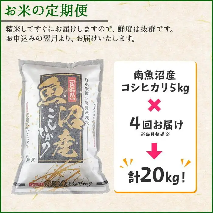 【令和7年産】【定期便】新潟県 南魚沼産 コシヒカリ お米 5kg ×計4回 精米済み 毎月発送（お米の美味しい炊き方ガイド付き）【定期便 銘柄米 ブランド米 精米 こしひかり コシヒカリ 魚沼産 新潟米 産地直送 お米 米 こめ ごはん】