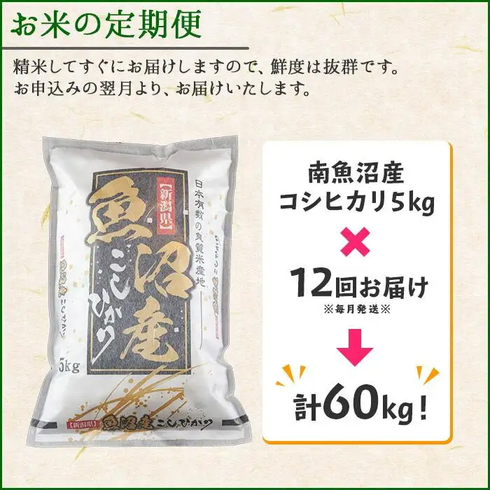 【令和7年産】【定期便】新潟県 南魚沼産 コシヒカリ お米 5kg×計12回 精米済み 年間 毎月発送 （お米の美味しい炊き方ガイド付き）【定期便 銘柄米 ブランド米 精米 こしひかり コシヒカリ 魚沼産 新潟米 産地直送 お米 米 こめ】