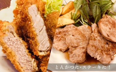 ［数量限定］宮崎県産 豚ヒレブロック 3本 合計1.2kg以上【B516-60】