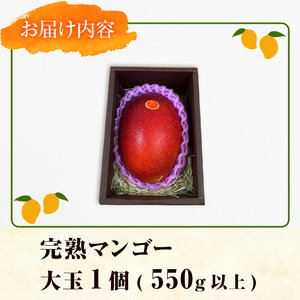 【0145912a】＜秀品・数量限定！先行予約＞南国鹿児島県産の太陽の恵み！完熟マンゴー(大玉1個・550g以上) 果物 フルーツ 果実 デザート 国産 冷蔵 【東串良物産館ルピノンの里】
