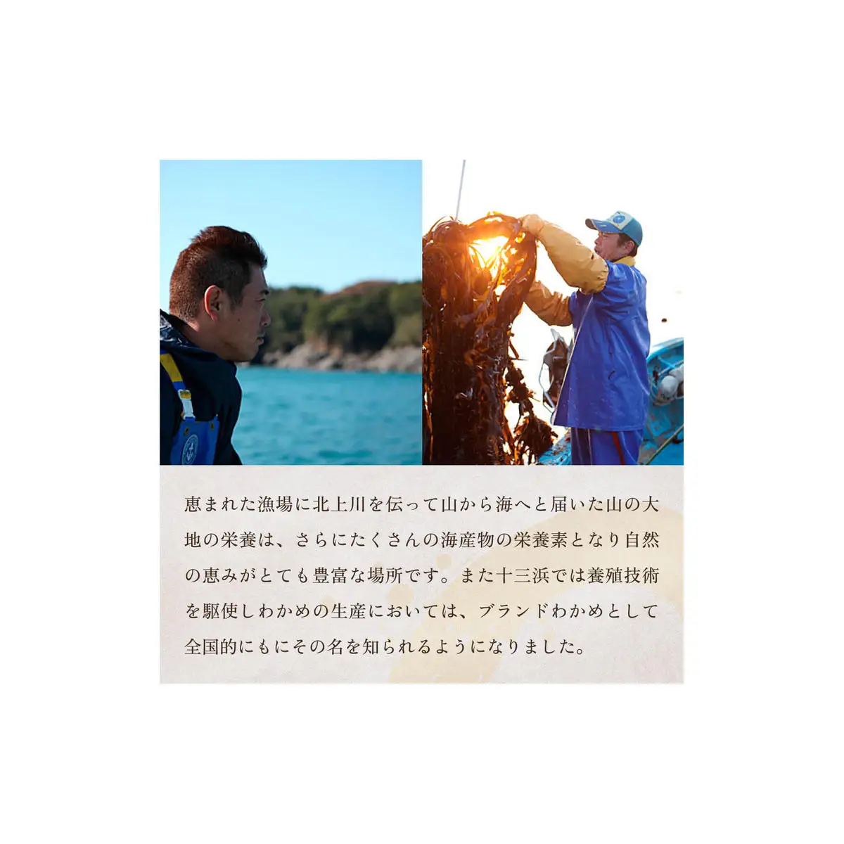 十三浜　浜だより（わかめ・こんぶ・海藻6種7品）