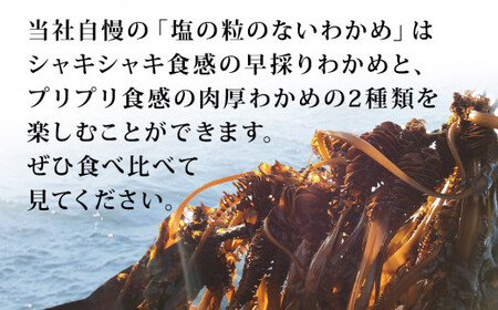 佐利水産のわかめ・昆布6種セット 塩蔵わかめ 塩蔵昆布 乾燥ひじき 三陸産  