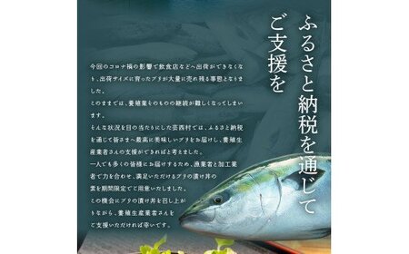 「ブリの漬け丼の素」1食80g×5P＋「訳ありカツオのたたき」600g以上
