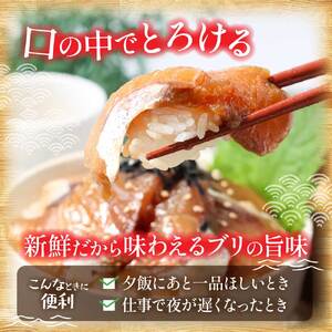 訳あり 「ブリの漬け丼の素」1食80g×10P 
