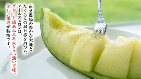 【2026年8月下旬発送開始】 季節 限定 ！ 甘さ満点 特大 アールスメロン 1個 [BC005sa]
