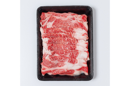 牛肉 黒毛和牛 宮崎産 リブロース スライス 500g [ウィズ・クリエイティブ 宮崎県 日向市 452060800]