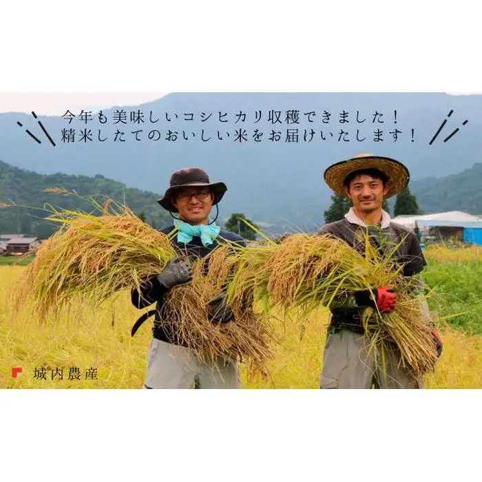 南魚沼産コシヒカリ 無洗米５ｋｇ 【５割減農薬栽培米】城内農産　令和７年【銘柄米 ブランド米 無洗米 こしひかり コシヒカリ 魚沼産 新潟米 産地直送 お米 米 こめ コメ ご飯 御飯 ごはん】