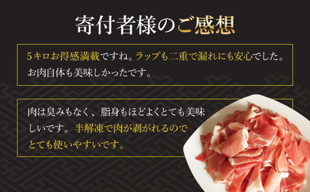 【数量限定】宮崎県産豚こま 計5kg(500g×10パック)_K049-003