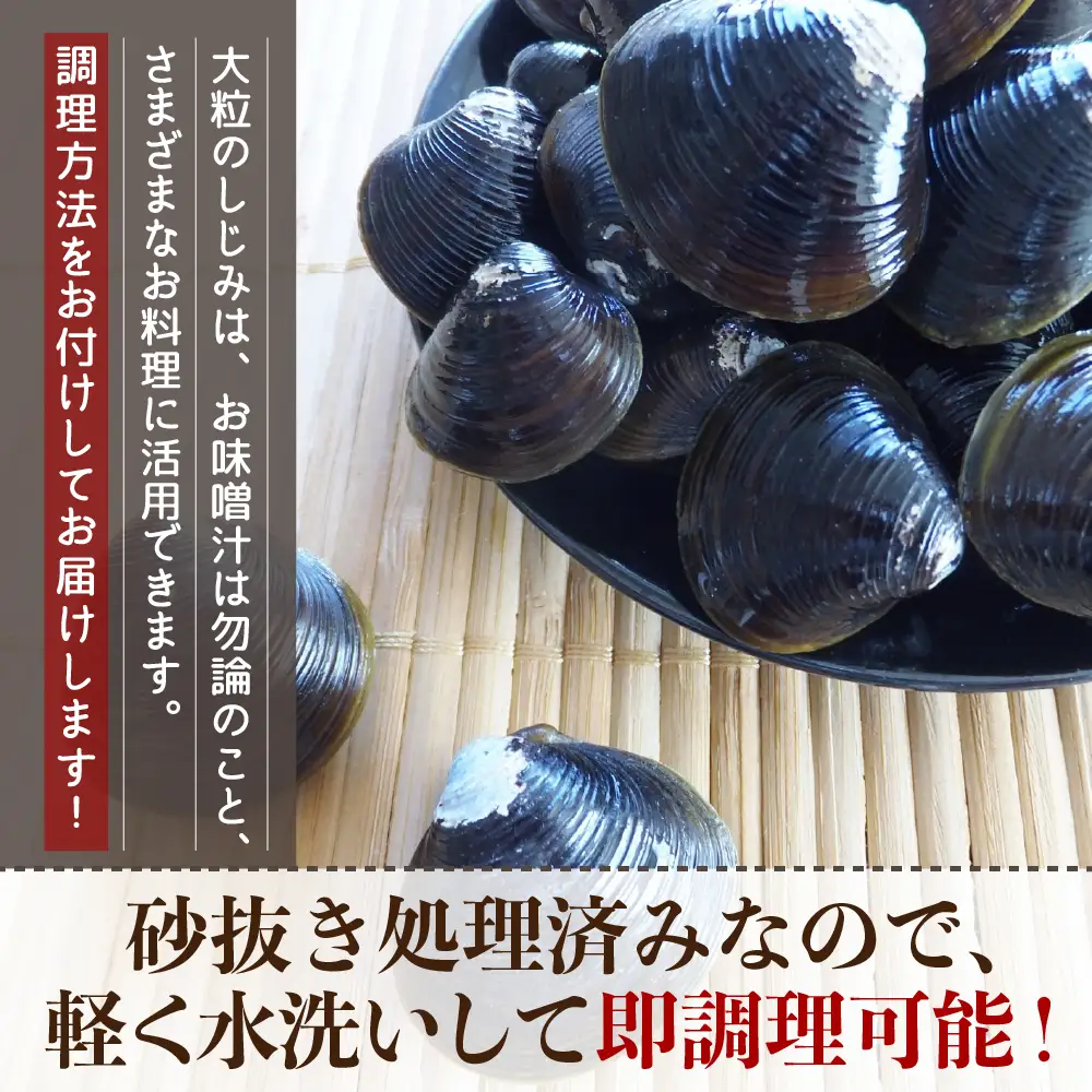 津軽十三湖産大和しじみ 大粒 800g （冷凍・砂抜き済） しじみ