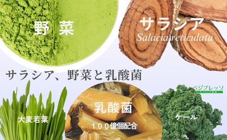 無添加青汁】サラシア青汁（5g×30包） 無添加青汁 サラシア