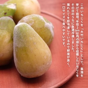 フローズン いちじく2kg（1kg×2袋） 果物詰合せ フルーツ 冷凍 無花果