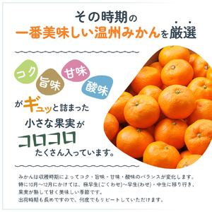 2026年秋よりお届け 瀬戸内　小みかん！コロ丸　約3kg 果物類 柑橘類 フルーツ 
