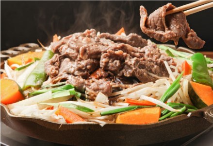 釧路産行者ニンニク入特製味付ジンギスカン500g×2 ふるさと納税 肉 F4F-0741