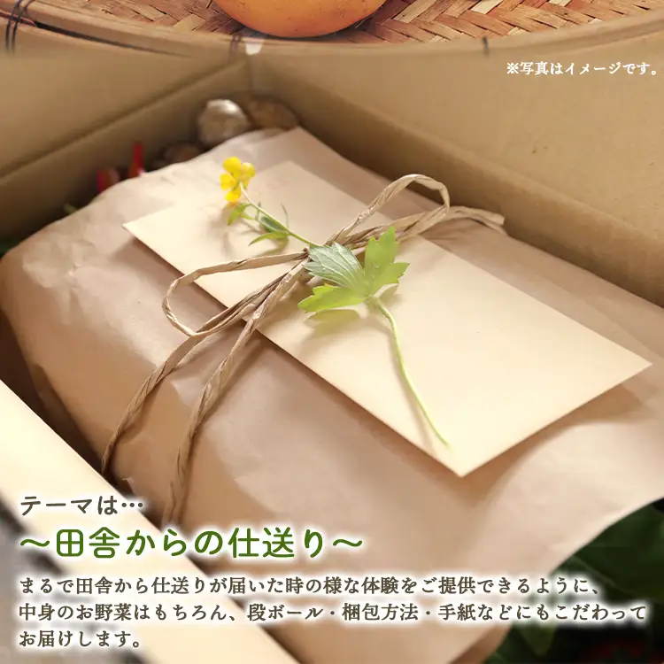 野菜 定期便【全12回】（10〜13種） 野菜 セット Wpr-0010