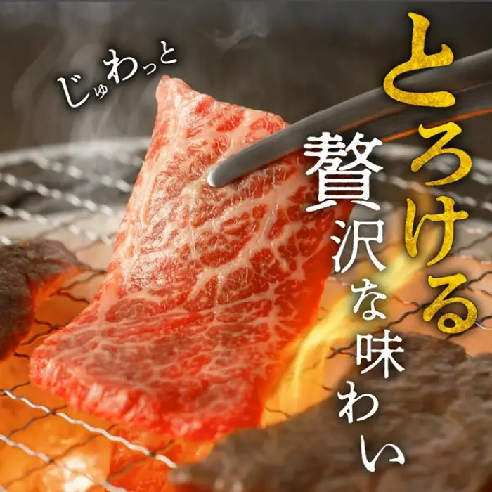 松阪牛特選焼肉セット 計600g [ 松阪牛 ] / 5-64