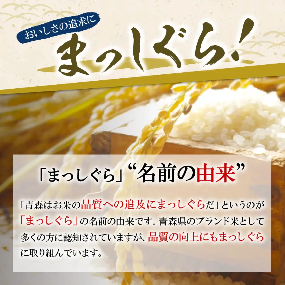 【定期便 9ヶ月】 米 10kg まっしぐら 青森県産 (精米) 定期便9回 10kg×9回