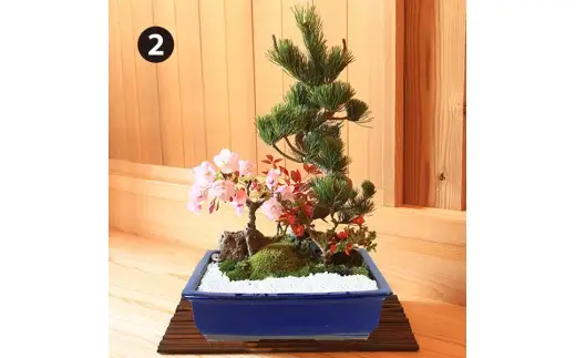 【39-05】 養庄園 季節の寄せ植え盆栽