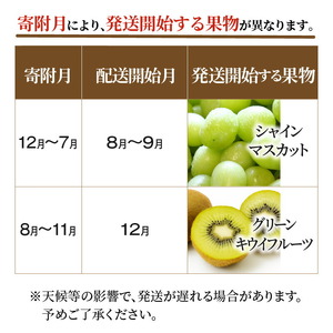 三豊市フルーツ2回お届け定期便B