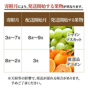 三豊市フルーツ2回お届け定期便C