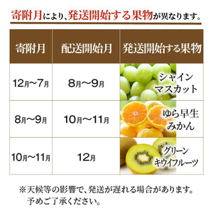 産地厳選三豊のフルーツ3回定期便B