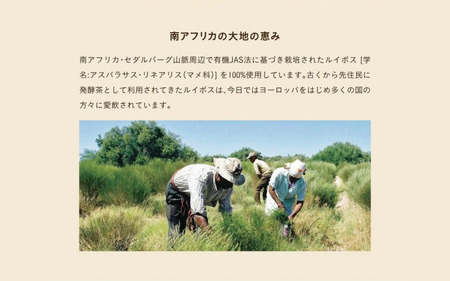 有機栽培ルイボス茶(5袋セット)