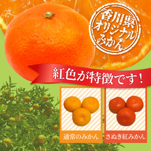 温室さぬき紅みかん約1.2kg