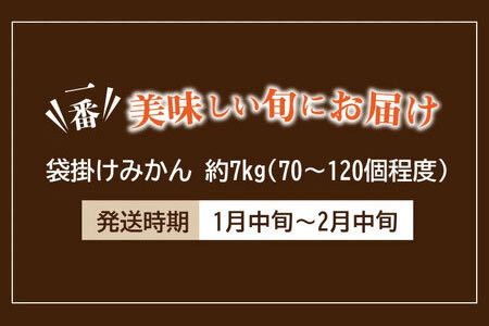 ふるーつ物語 越冬完熟 「袋掛けみかん」 約7kg(70個 ～ 120個)