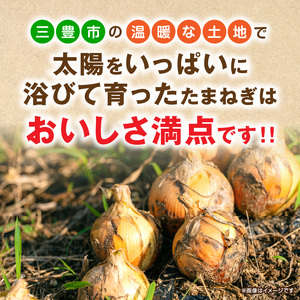 三豊市のたまねぎ 約20kg