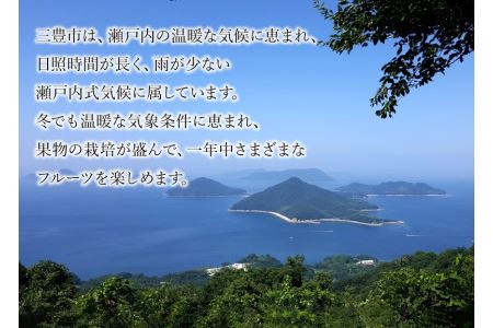 【2025年 先行予約】【配送不可地域:北海道・沖縄県・離島】三豊市産【市場直送 デコポン 5kg以上】 17000円