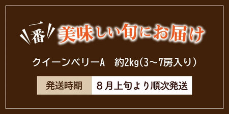 クイーンベリーA 約2kg