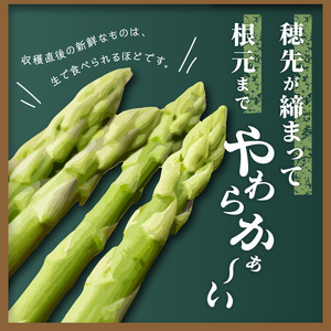 アスパラガス「さぬきのめざめ」約1.5kg(夏芽)