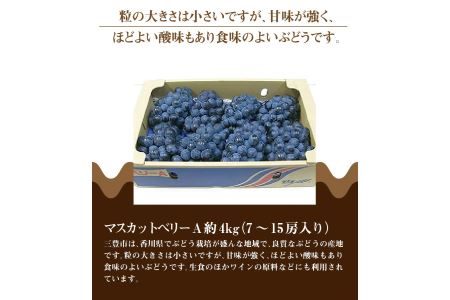 マスカットベリーA 約4kg