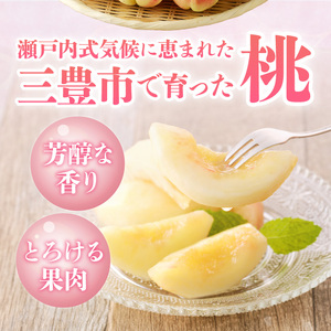 【期間限定】みとよの桃 (小玉) 約2.8kg