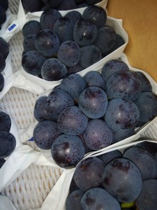 【8月1日から】【さぬき讃フルーツ】NEWピオーネぶどう 大粒約2kg