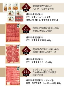 オリーブ牛お試し肉セット(全4回)【定期便】