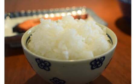 令和7年産 きぬむすめ10kg(精白) 米 精白米