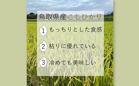 令和7年産 大山しらゆき米10kg 無洗米 無洗 コシヒカリ こしひかり 