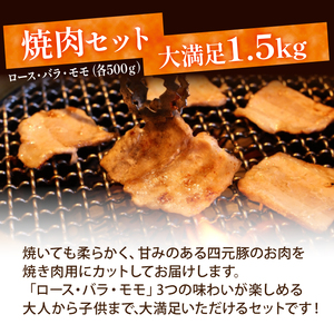 国産 四元豚 焼肉 セット 真空パック 総量 1500g ／ ありすぽーく 豚 肉 豚肉 ロース 豚ロース バラ 豚バラ モモ 豚モモ 各 500g ５００ｇ 3種類 ３種類 総量 1.5kg １５００ｇ 焼き肉 やきにく 真空 真空冷凍 トレー 不使用 家庭用 自宅用 精肉 人気 おすすめ