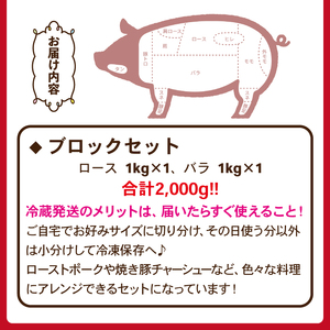 国産 四元豚 ロース バラ ブロック セット 真空パック 各 1kg 総量 2kg ／ ありすぽーく 豚 肉 豚肉 ブロック肉 塊肉 豚バラ 豚ロース １ｋｇ ２ｋｇ 真空 精肉 ローストポーク チャーシュー 叉焼 焼き肉 焼肉 とんかつ 角煮 自宅用 家庭用 冷蔵 冷蔵発送 人気 おすすめ