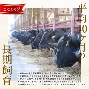 FYN9-858 山形県産黒毛和牛《月山和牛》福寿館 切り落とし 400g 牛肉 山形県 西川町