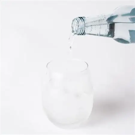 龍泉洞地サイダー　340ml×20本_炭酸 炭酸飲料 瓶 サイダー ジュース 飲料_【1245907】